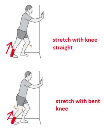 Best exercises for heel pain (at back of the heel) - Ligaments and ...